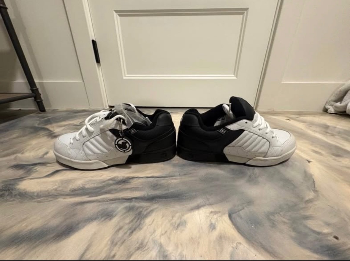 DVS Contra in RARE color! Never Worn