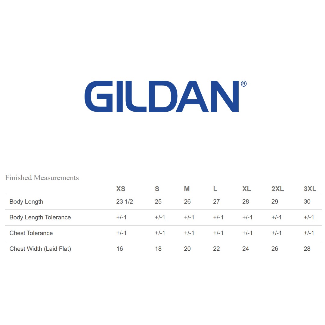 2 Pack Of Gildan G200L Ladies Ultra Cotton Fashion T Shirt Blank Stylish T-Shirt
