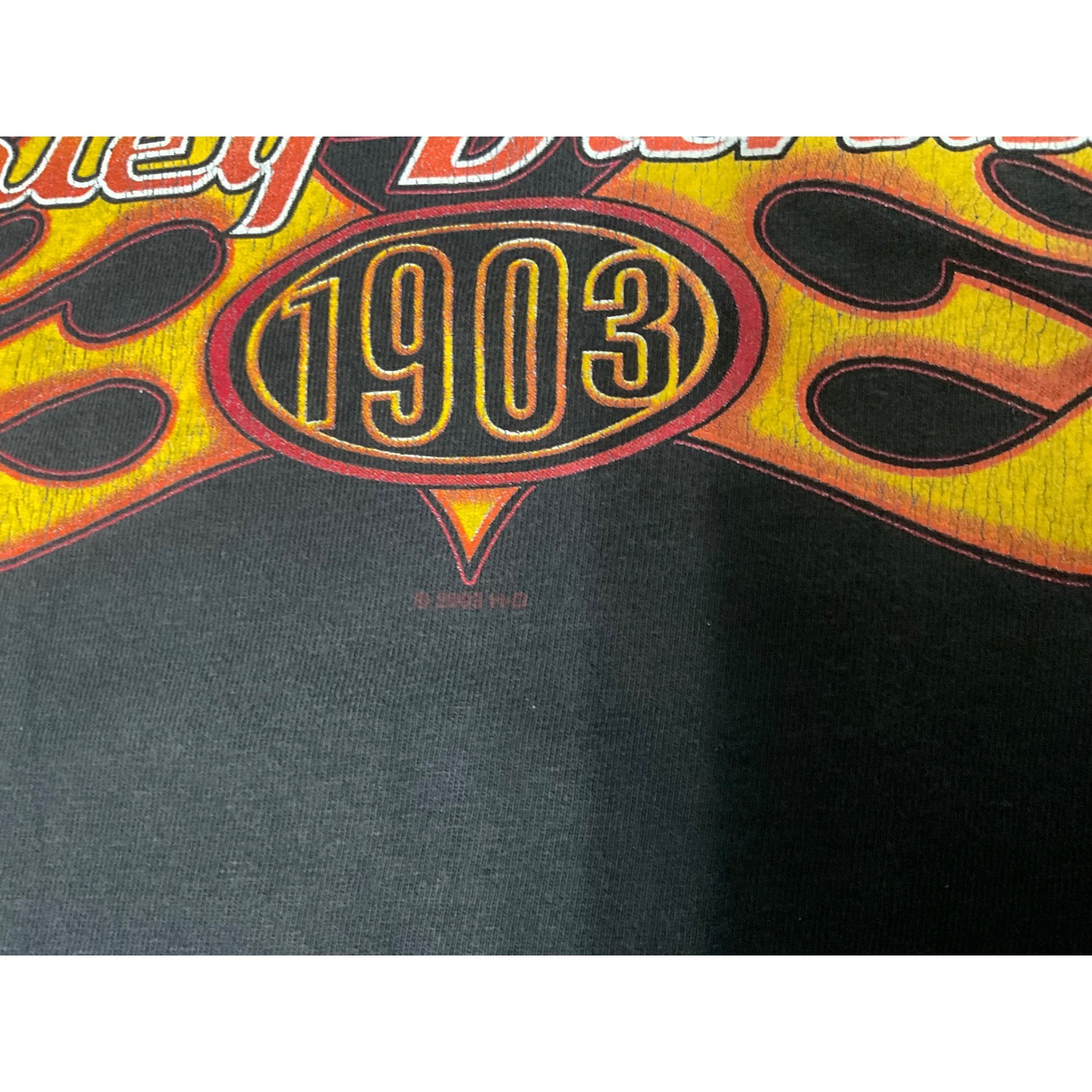 Harley-Davidson 1903 Flames Graphic T-Shirt Mens XL Harley Haven Virginia Beach