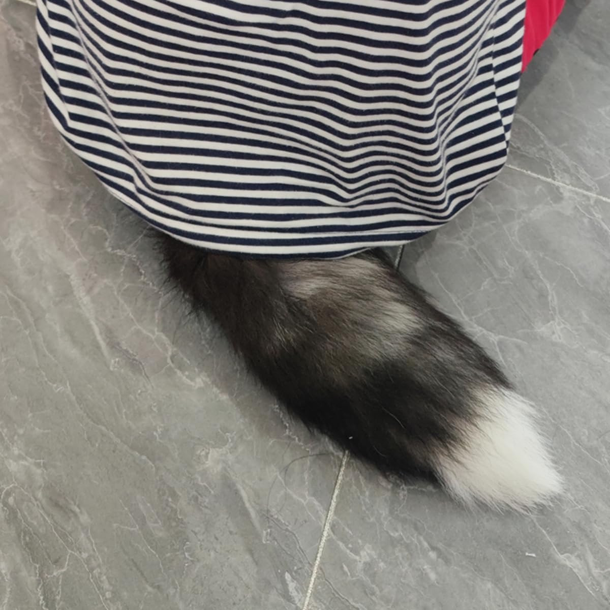 Fluffy Fox Tail Fur Keychain Therian Cosplay Handbag Tassel Hook Accessories for