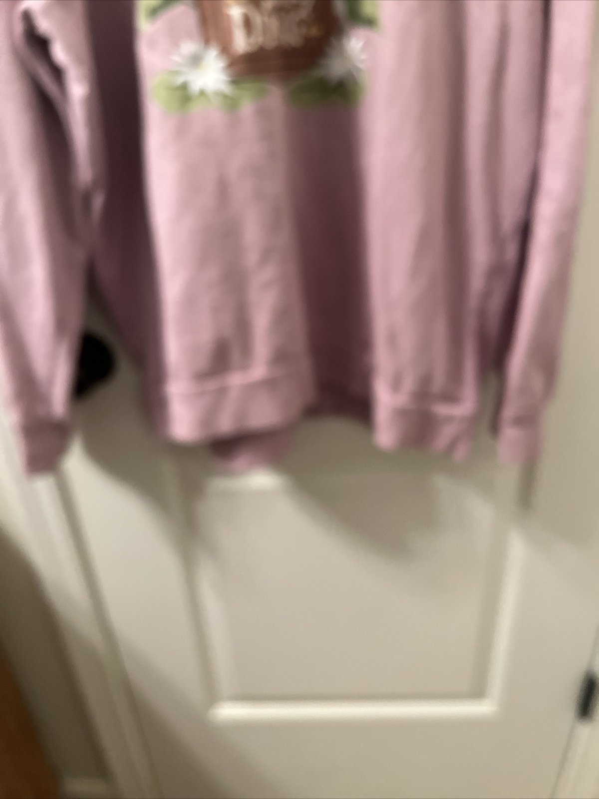 Disney Princess Women’s Sweatshirt Snuggly Duckling Size Unknown Pink