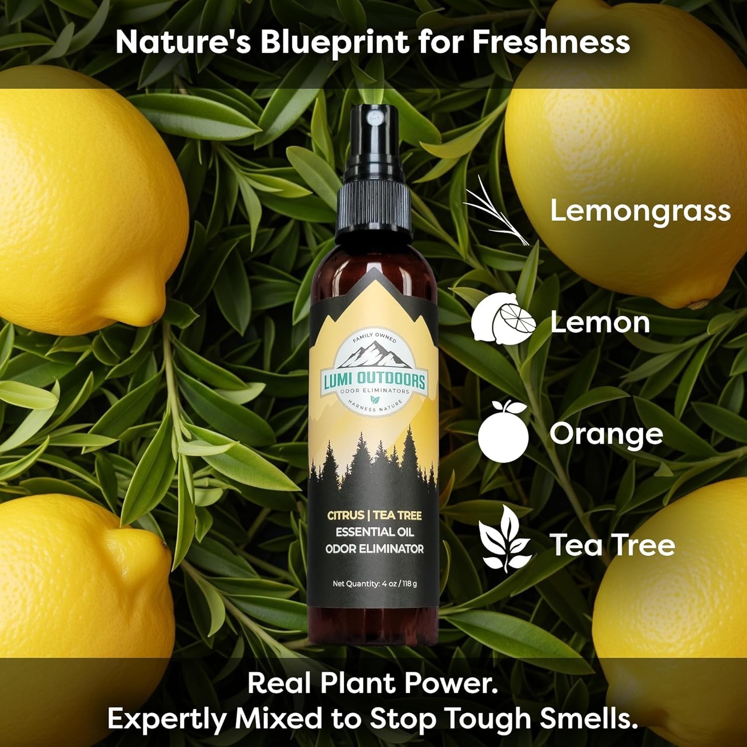 Lumi Outdoors Shoe Deodorizer Spray Citrus Tea Tree Odor Eliminator Freshener