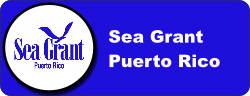 logo_seagrantpr